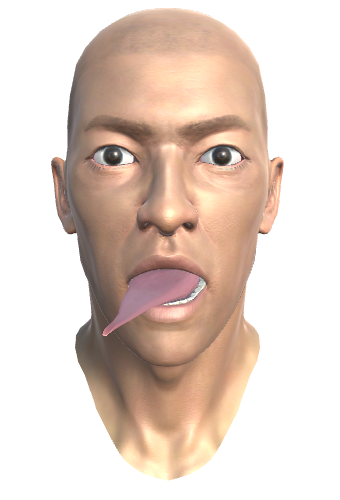 ../_images/35.1.TONGUE_DOWNRIGHT_MORPH.png