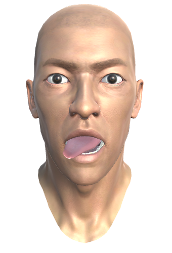 ../_images/35.2.TONGUE_DOWNRIGHT_MORPH.png