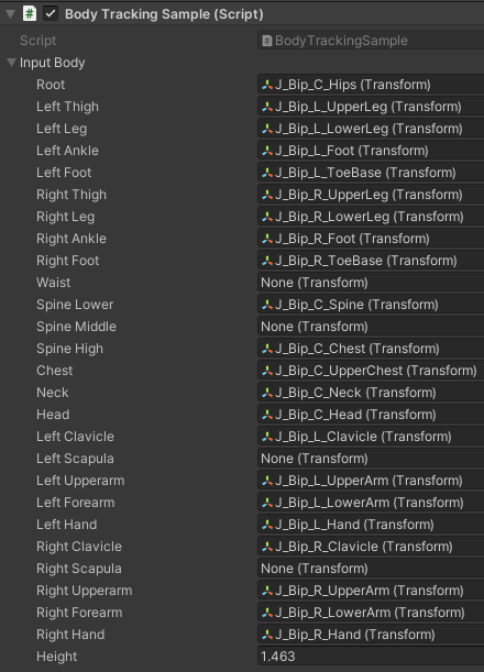 ../_images/UnityXRBodyTracking18.png